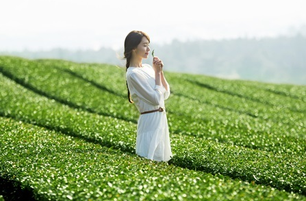 悦诗风吟绿茶系列孕妇可以用吗 适合什么季节