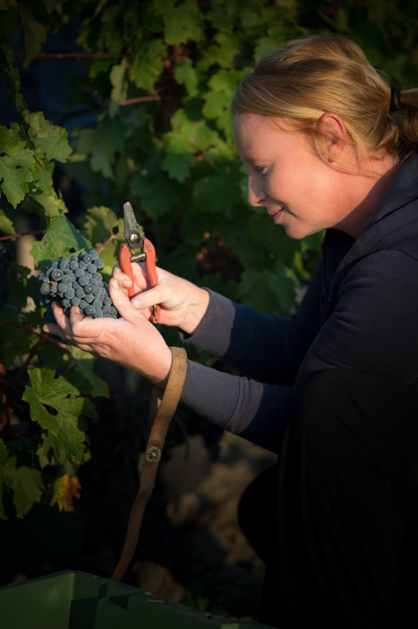 玛歌酒庄葡萄酒获选为2015年份最佳葡萄酒